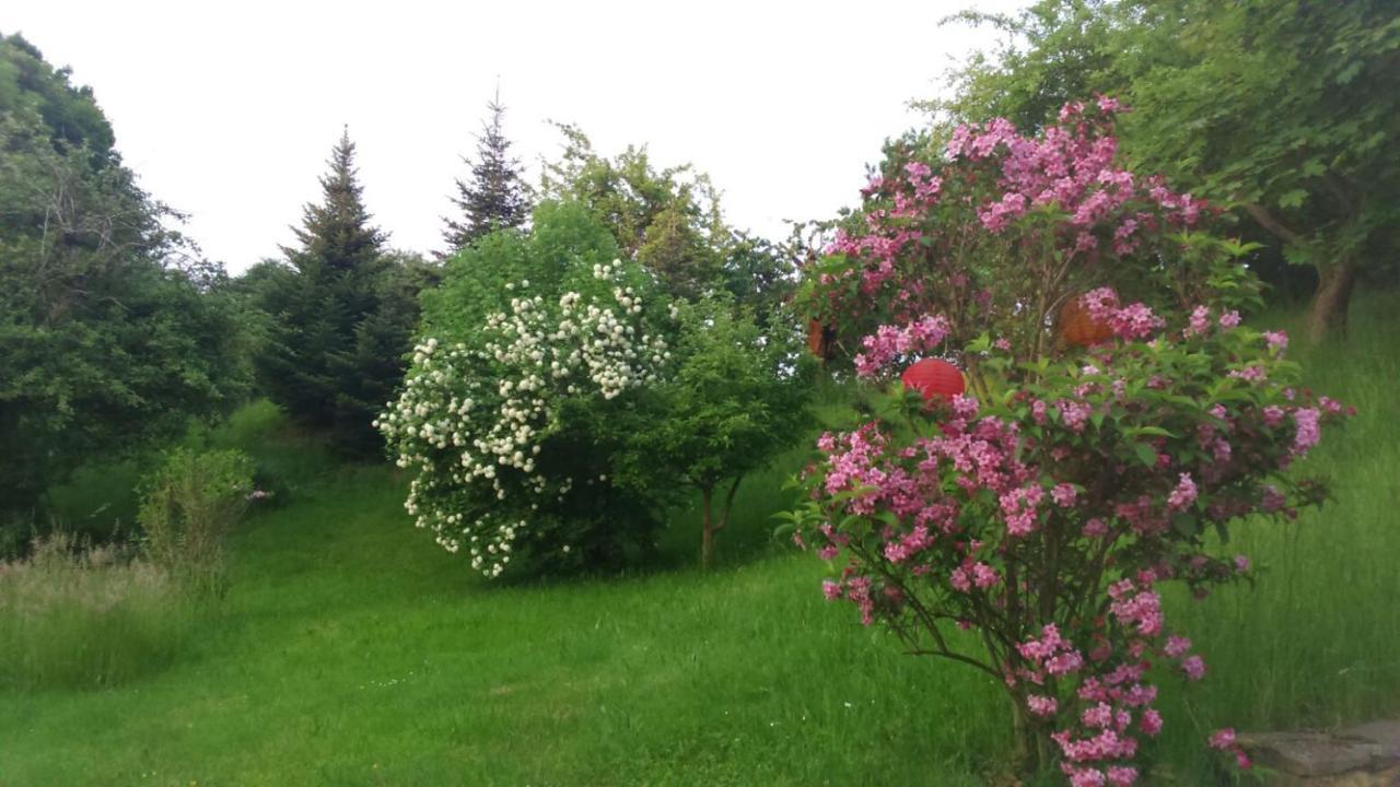 Apartamento Giesis Wohlfuehloase Döbeln Exterior foto